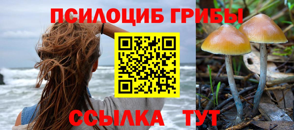 Псилоцибиновые грибы MAGIC MUSHROOMS  Галлюциногенные грибы GOLDEN TEACHER  Видное  Вход с VPN 